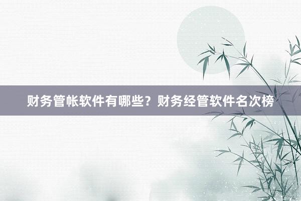 财务管帐软件有哪些？财务经管软件名次榜